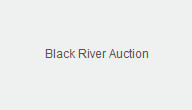  Black River Auction