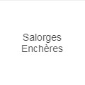 Salorges Enchères